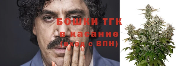индика Аркадак