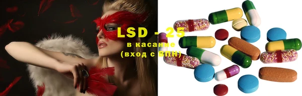 индика Аркадак
