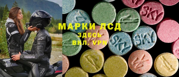 индика Аркадак