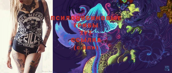 индика Аркадак