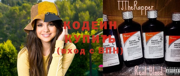 индика Аркадак