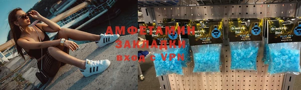 индика Аркадак