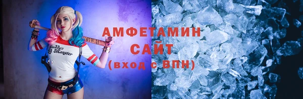 индика Аркадак
