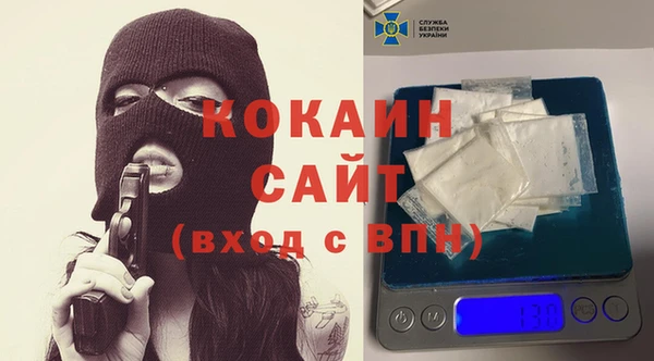 индика Аркадак