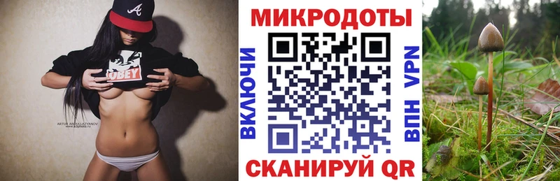 mega онион Дыгулыбгей Псилоцибиновые грибы Psilocybe